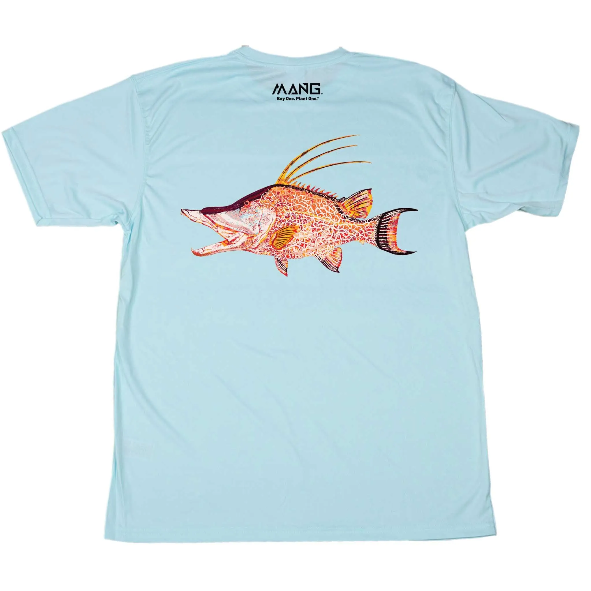 Hogfish MANG - SS