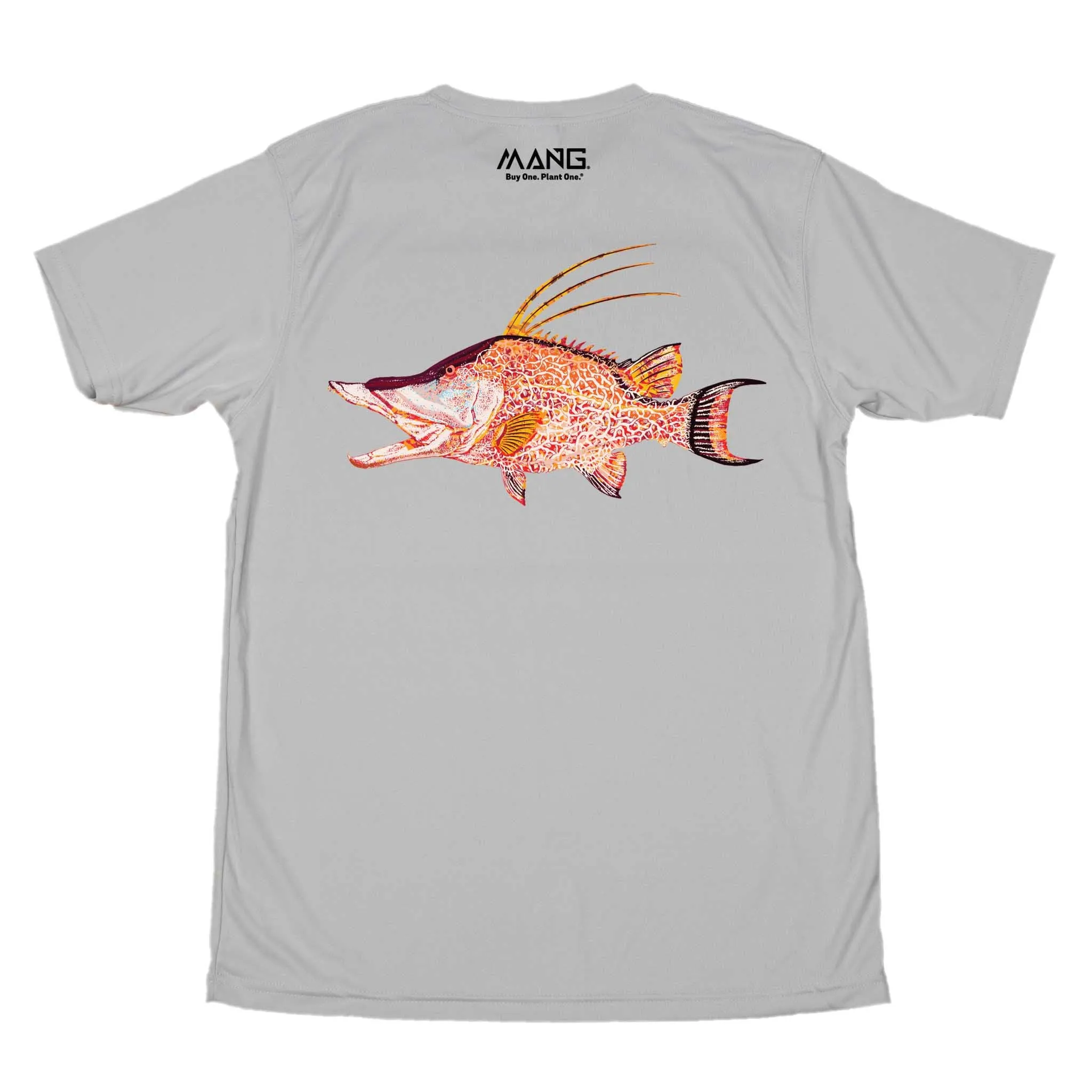 Hogfish MANG - SS